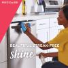 imageFRIGIDAIRE 5304508691 Ready Clean Stainless Steel Cleaner 12 OuncesStainless Steel Cleaner